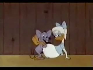 The skutečný tom a jerry