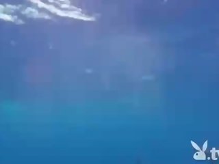 Enchanting grand babes swimming with the shark