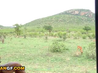 असली footage की मेरे क्यूट आफ्रिकन सुश्री सकिंग मुझको बंद दौरान safari रोमानी getaway