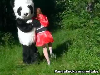लाल राइडिंग हुड गड़बड़ द्वारा पांडा