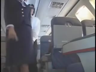 Americana stewardes fantasía
