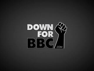 Uz leju par bbc katy karson vāvere trāpīt ar sledge hammer