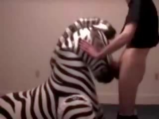Zebra מקבל גרון מזוין על ידי סוֹטֶה bloke vid