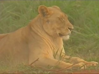 Blondie kruger parc