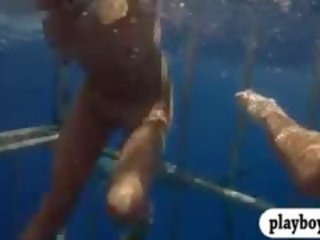 Enticing Babes Swam In Shark Cage And Snowboarding Topless